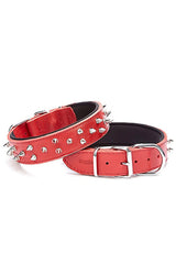 Doggie Ektsra Çivili Köpek Boyun Tasması 4x57-65 cm Kırmızı - BYT-4012L-KRMZ