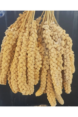 Kuşlar İçin Doğal Sarı Dal Darı 100 gr - 60671-2