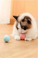 Gravitational Şarjlı Otomatik Haraketli Kedi Oyun Topu 4 cm - PG-CT042