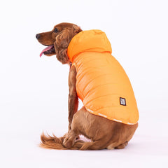 Pawstar Neon Orange Railway Vest Köpek Montu 2XLarge 38x43x58 cm - 23107-2XL