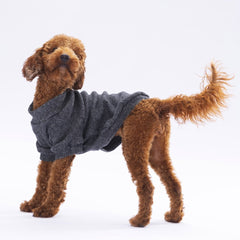 Pawstar BlackMerino Sweat X Large 34X38X55 cm - 24722-XL