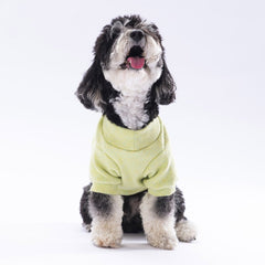 Pawstar Yellow Merino Sweat XXarge 38X43X58 cm - 24725-2XL