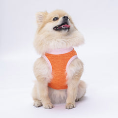 Pawstar Orange Joy Tişört Medium 26x28x41 cm - 24801-M