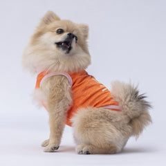 Pawstar Orange Joy Tişört Medium 26x28x41 cm - 24801-M