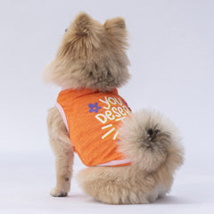 Pawstar Orange Joy Tişört XXLarge 38X43X58 cm - 24801-2XL