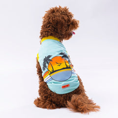 Pawstar Mint Sunrise Tişört XXLarge 38X43X58 cm - 24807-2XL