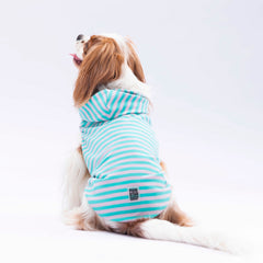 Pawstar Aqua Sunny Kapşonlu Tişört Small 23x24x37 cm - 24812-S