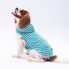 Pawstar Aqua Sunny Kapşonlu Tişört XXLarge 38X43X58 cm - 24812-2XL