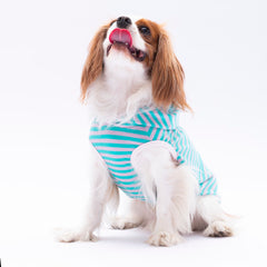 Pawstar Aqua Sunny Kapşonlu Tişört Small 23x24x37 cm - 24812-S