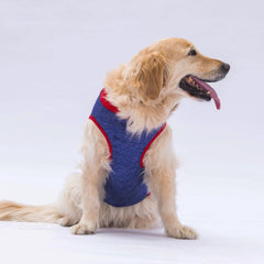 Pawstar Navy Blue Summer Time Büyük T-shirt 5XLarge 51X62X79 CM - 24855-5XL