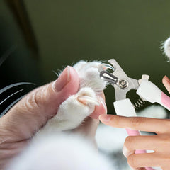 Törpülü Kedi Köpek Tırnak Makası 12,5 cm - KP-TRPL-125CM