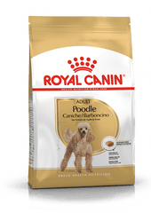 Royal Canin Poodle Yetişkin Maması (3 kg)