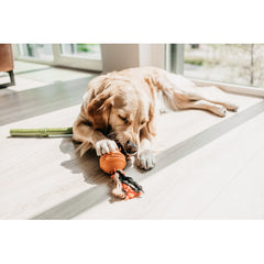 Beeztees İpli Turuncu Top Köpek Oyuncak 31,8x7,9x7,9 cm - 556-626705