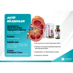 Catalysis Renalof Pets 30 Ml- Kedi Ve Köpekte Böbrek - Idrar Yolu Taşları - 13624