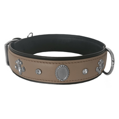 Markapet Taşlı Ve Aynalı Köpek Boyun Tasması 49-55 cm Large Taba - MRKPT-DRAYN-LT