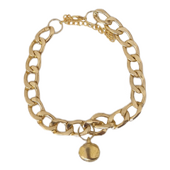 Markapet Kedi Ve Köpek Lüx Zincir Kolye 25-30 cm Medium Gold - SF-ZNCRKLY-GLD