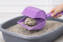 Kapaklı Kedi Kumu Küreği Elekli – Ergonomik Saplı Dayanıklı Plastik Kum Temizleme Küreği 26 cm - KP-KPKLKRK