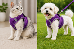 Nefes Alan Kumaş Air Mesh Kedi Köpek Göğüs Tasması Medium 44x48 cm Mor - KP-TMX-M-MR