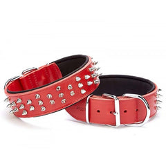 Doggie Ektsra Çivili Köpek Boyun Tasması 5x50-60 cm Kırmızı - BYT-5012S-KRMZ