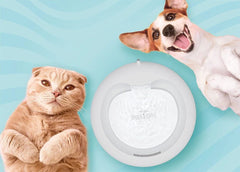Cattie Kedi Köpek Su Pınarı Klasik Model 2,5 L Antrasit - FOUNTAINANTHRACITE