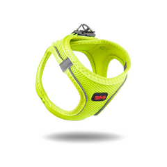 Tailpetz Air Mesh Köpek Göğüs Tasması 3XSmall 24-28 cm Neo Lime - TLZPZ-XXXS-NLM