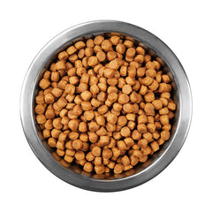 Econature Tavuklu Yetişkin Kedi Maması 1 kg Açık Mama - ECONATURE-KEDI-YETISKIN-TAVUKLU1KG