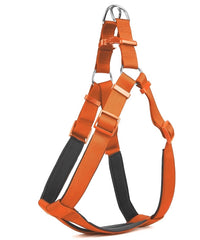 Doggie Comfort Ronin Köpek Bel Tasması 70cm Large Turuncu Outlet - DSGT-OTLT-TRNC