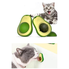 Avokado Kedi Otu Topu