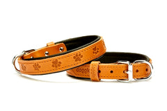 Doggie Küçük Köpek Tasması Pati Desenli 45 cm Small - SBT-2036M-KAM