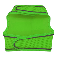 Çift Kilitli Sportif Kedi Köpek Göğüs Tasma Seti 30-38 cm Small Yeşil - SF-SPRTFST-SYSL