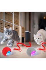 Hareketli Şarjlı Işıklı 360 Derece Dönen Akıllı Oyun Topu Kuyruklu İnteraktif Kedi Köpek Oyun Topu - DG-240