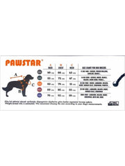 Pawstar Green Shark Büyük T-shirt 4XLarge  47X55X72 CM - 23855-4XL
