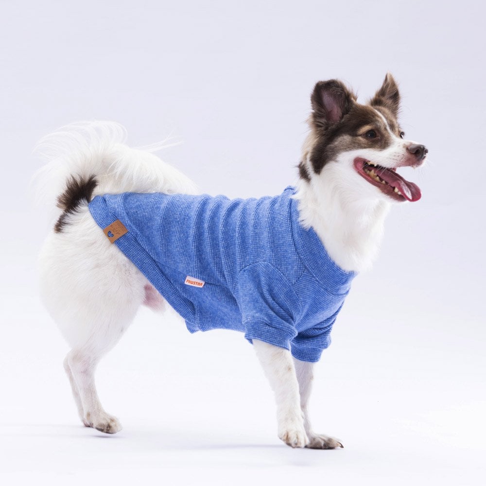 Pawstar Blue Merino Sweat Large 30X33X46 cm - 24723-L