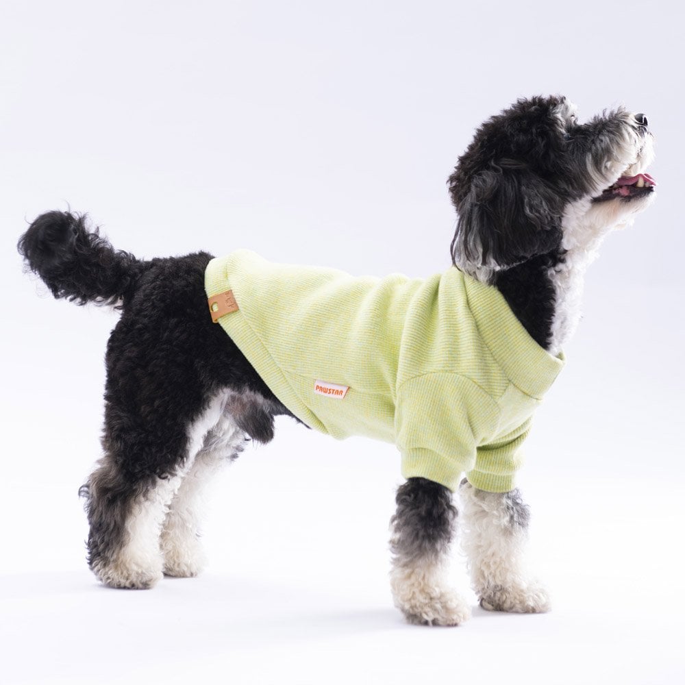 Pawstar Yellow Merino Sweat X Large 34X38X55 cm - 24725-XL