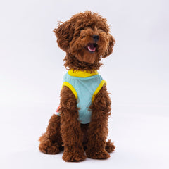 Pawstar Mint Sunrise Tişört XLarge 34*38*55 cm - 24807-XL