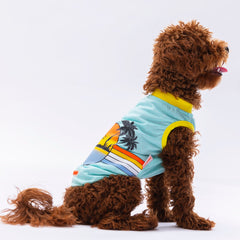 Pawstar Mint Sunrise Tişört Small 23x24x37 cm - 24807-S