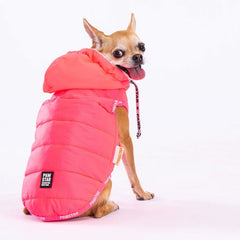 Pawstar Neon Fuchsia Railway Vest Köpek Montu Large 30x33x46 cm - 23106-L