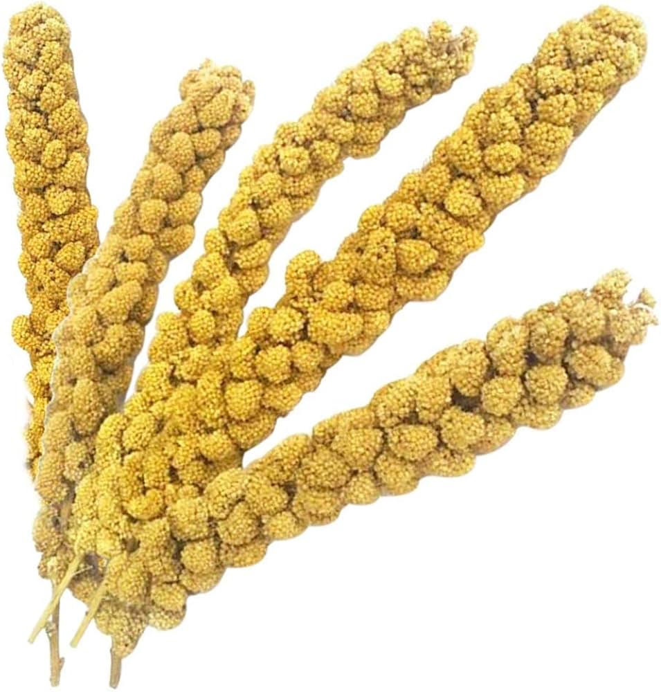 Vitaking Kuşlar İçin Doğal Sarı Dal Darı 100 gr - 60671
