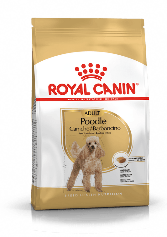 Royal Canin Poodle Yetişkin Maması (3 kg)