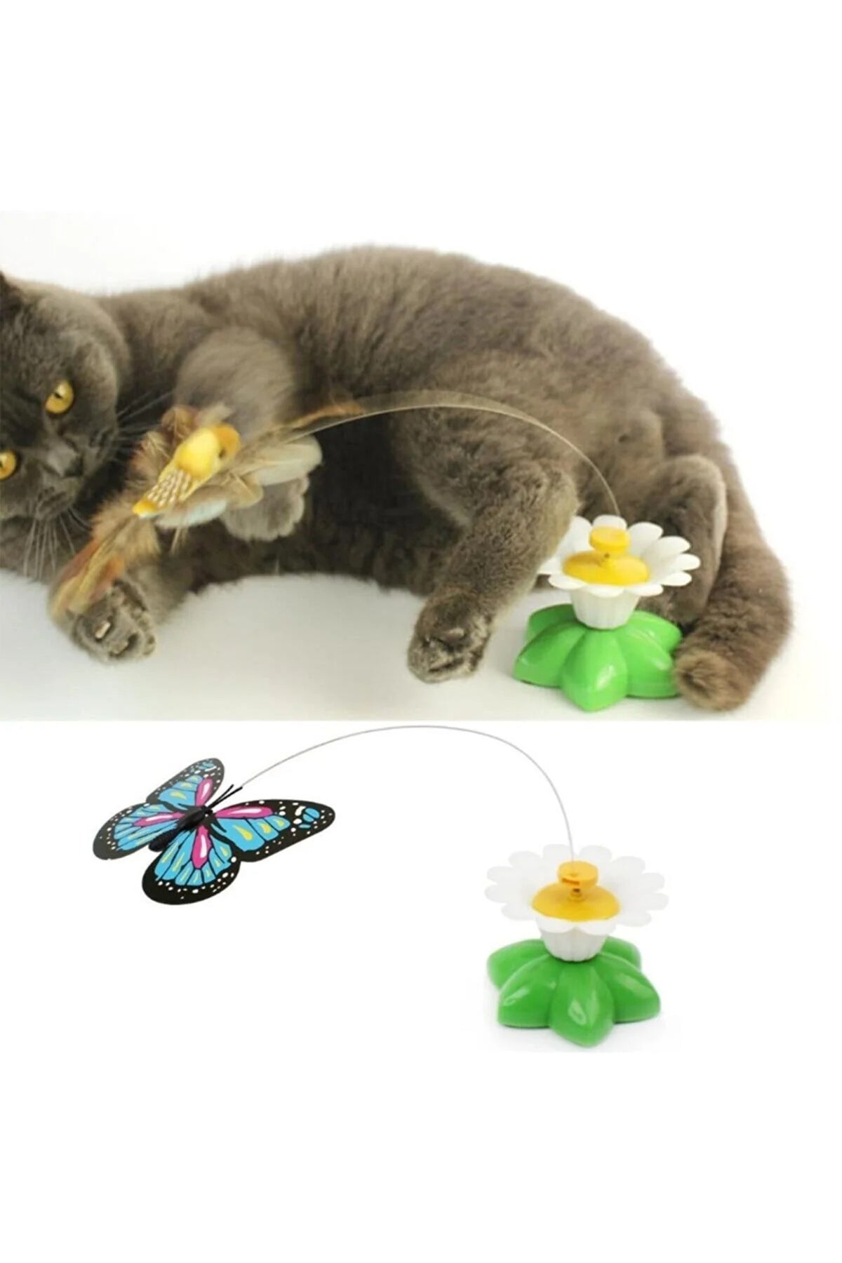 Markapet Hareketli Pilli Dönen Kelebek Kedi Oyuncağı 6 cm - KNY-KLBK-PL