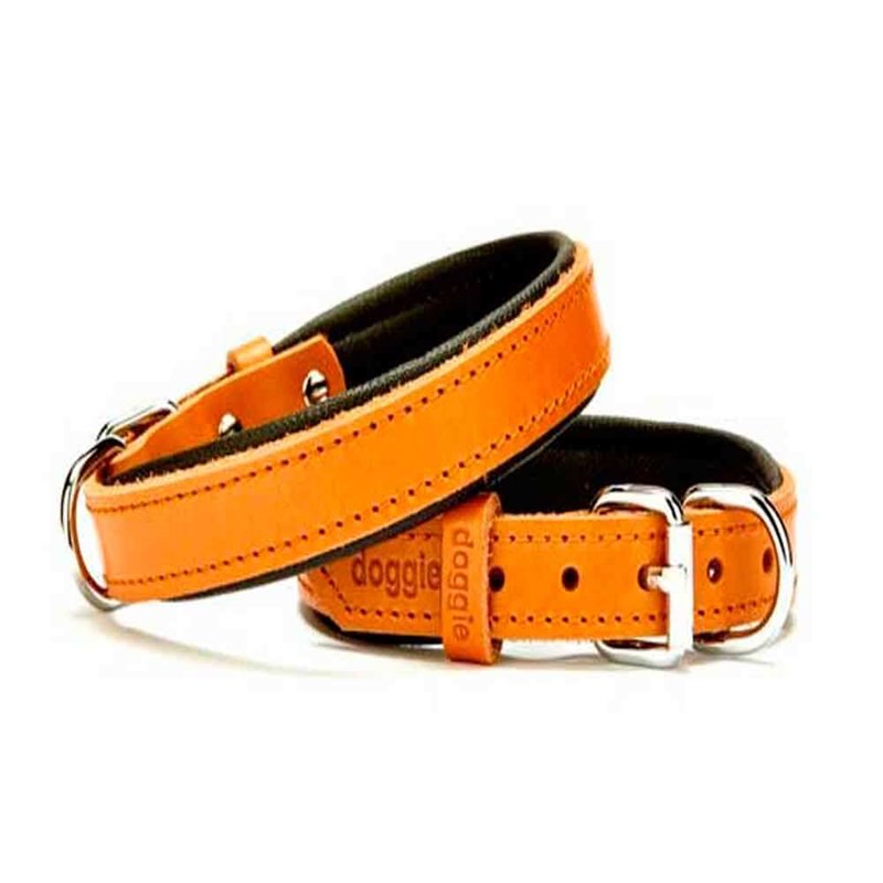 Doggie Comfort Deri Köpek Boyun Tasması 1,5x 25-33 cm Camel - SBT-1510-KML