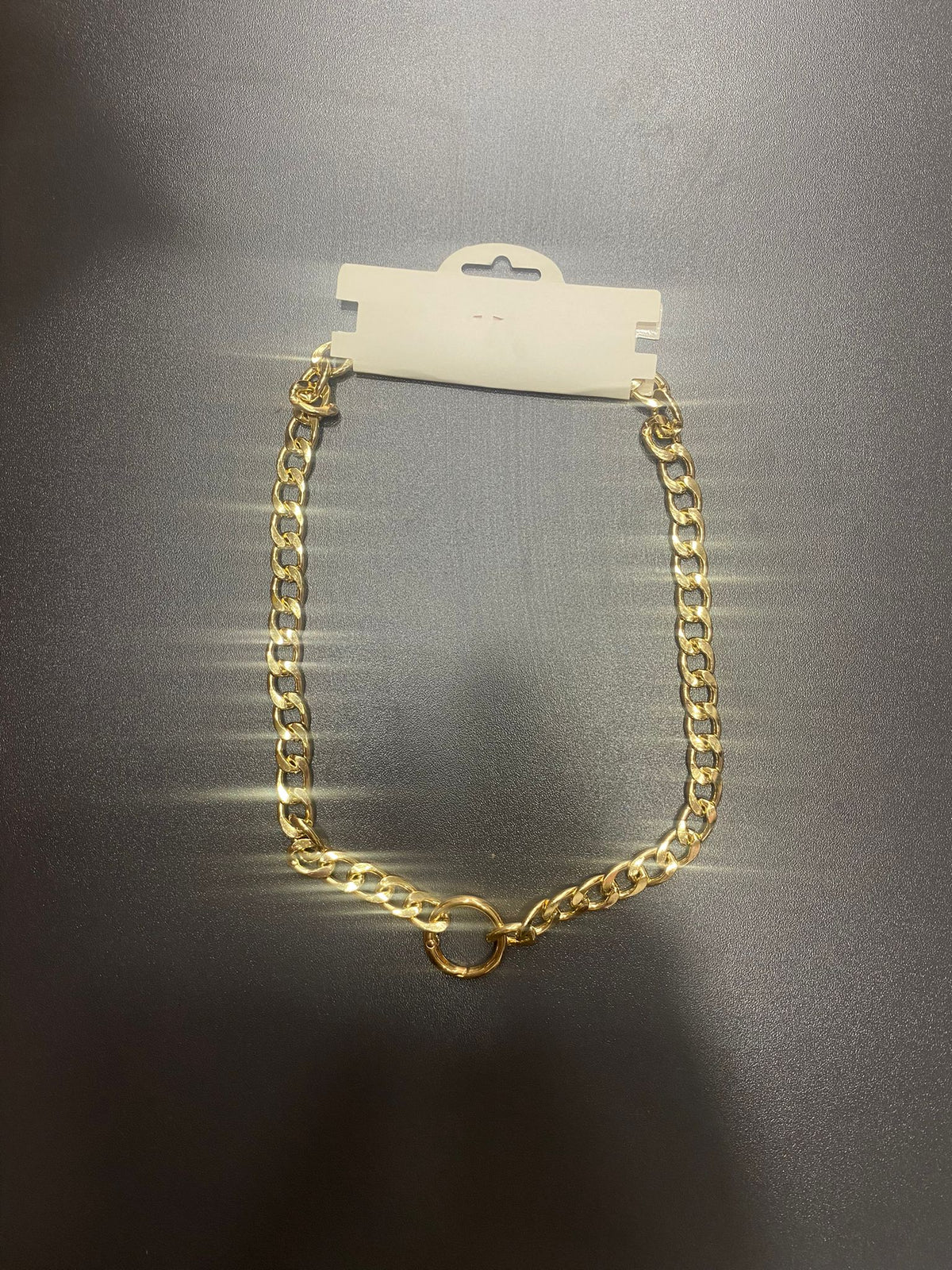 Willypet Büyük Köpek Kolyesi (55 cm)