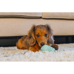 Beeztees Yavru Köpek Sumo Mını Dental Oyuncak Xs 3-6 kg - 556-626660
