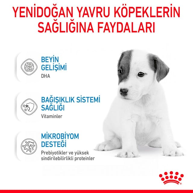 Royal Canin Babydog Milk Toz Köpek Maması (400 gr)