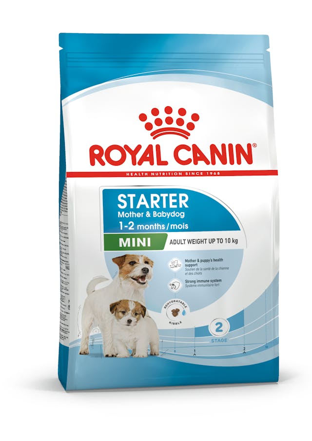 Royal Canin Mini Starter Kuru Köpek Maması (4kg)