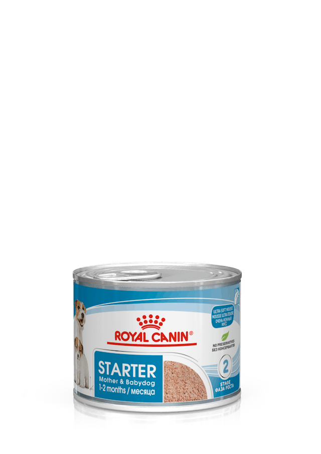 Royal Canin Starter Mousse Mother And Babydog Yaş Mama (195 gr)