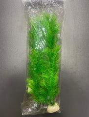 Akvaryum Bitkisi (30 cm)