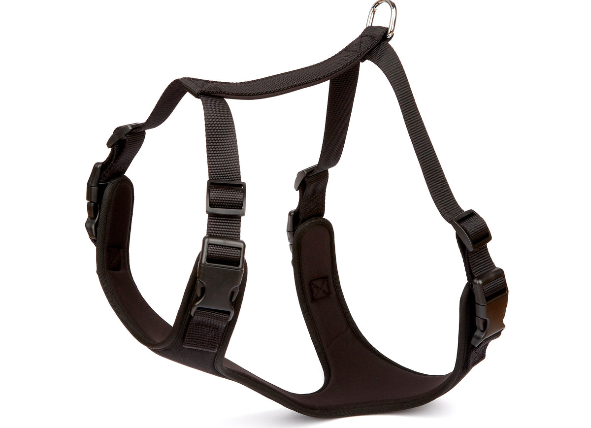 Doggie Havalı Ped Dokuma Köpek Göğüs Tasması 50/70 cm Siyah - ADGT10-L-SYH