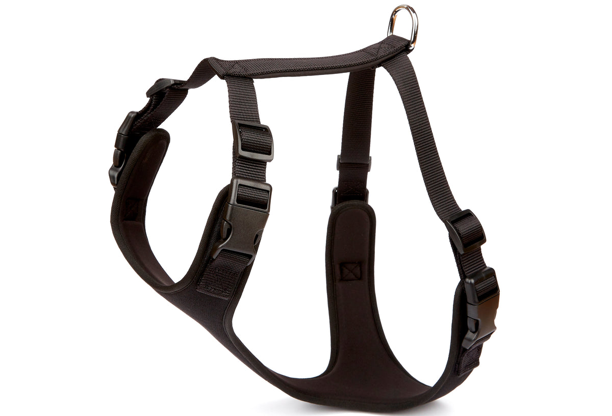 Doggie Havalı Ped Dokuma Köpek Göğüs Tasması 60/85 cm Siyah - ADGT10-XL-SYH