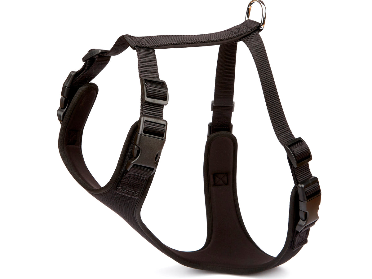 Doggie Havalı Ped Dokuma Köpek Göğüs Tasması 70/95 cm Siyah - ADGT10-XXL-SYH